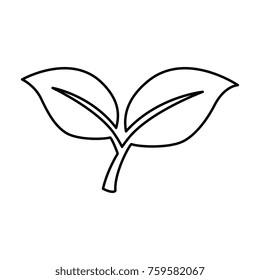 leafs plant isolated icon