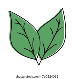 leafs plant isolated icon