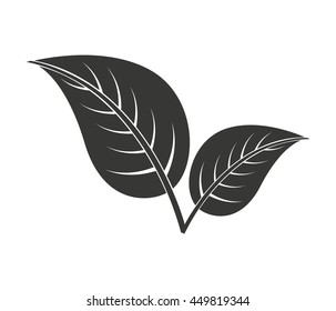 leafs plant  isolated icon design, vector illustration  graphic 
