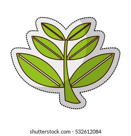 leafs plant isolated icon vector illustration design