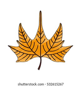 leafs plant isolated icon vector illustration design