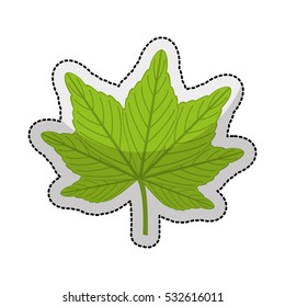 leafs plant isolated icon vector illustration design