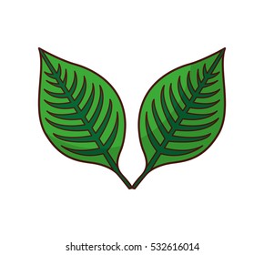 leafs plant isolated icon vector illustration design