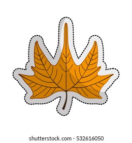 leafs plant isolated icon vector illustration design