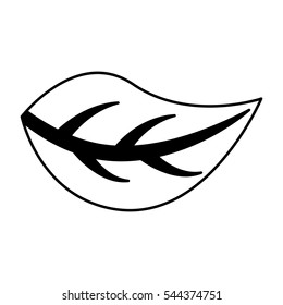 leafs plant isolated icon vector illustration design