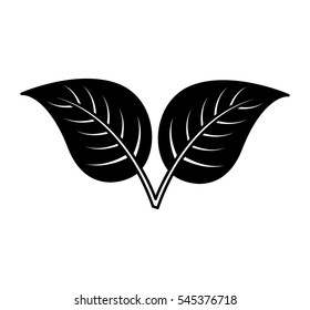 leafs plant isolated icon vector illustration design