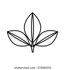 leafs plant isolated icon vector illustration design