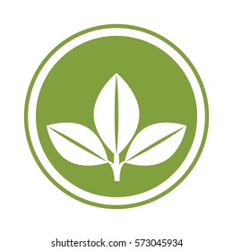 leafs plant isolated icon vector illustration design