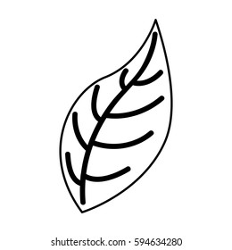 leafs plant natural icon