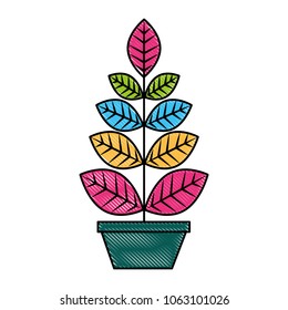 leafs plant in pot