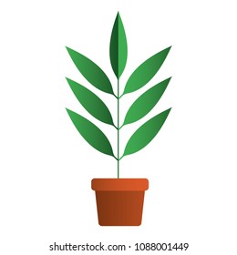 leafs plant in pot decorative icon