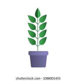 leafs plant in pot decorative icon