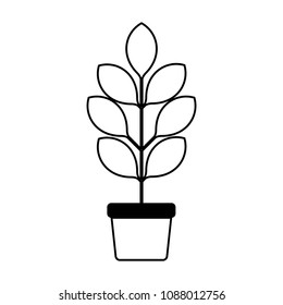 leafs plant in pot decorative icon