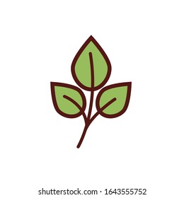 leafs plant spa line and fill style vector illustration design