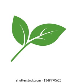 leafs, plant, tree nature logo design decorative elements, beautiful leaf vector, leaf vector, silhouette leaf vector