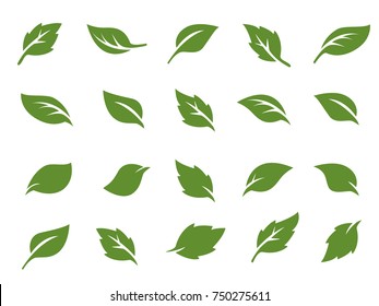 leafs, plant, tree nature logo design decorative elements 