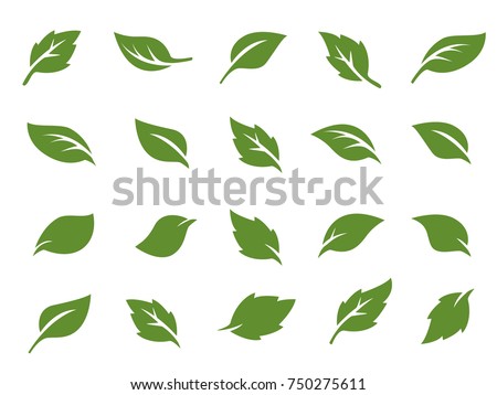 leafs, plant, tree nature logo design decorative elements 