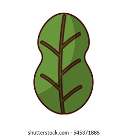 leafs plant vegetarian food vector illustration design
