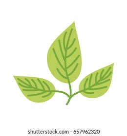 leafs plant wreath icon