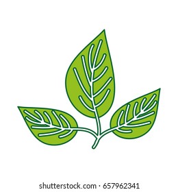 leafs plant wreath icon