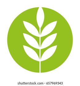 leafs plant wreath icon