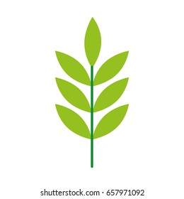 leafs plant wreath icon