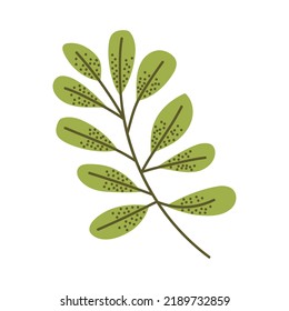 leafs plants in branch foliage