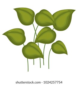 leafs plants garden icon