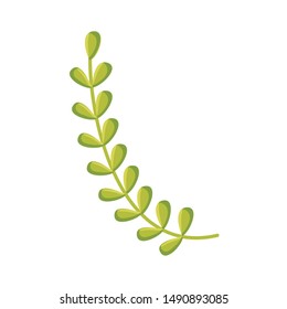 leafs plants garden nature icon