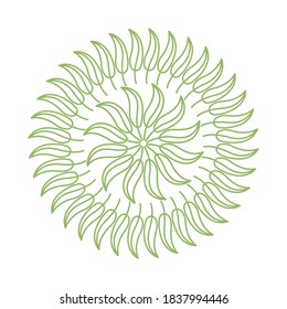 leafs plants nature circular decoration vector illustration design