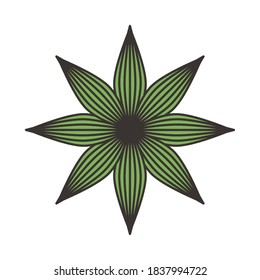 leafs plants nature circular decoration vector illustration design