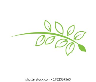 leafs plants organic product icon vector illustration design