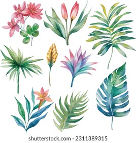 Leafs y plantas, conjunto de ilustraciones acuáticas