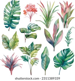 Leafs and plants, watercolour illustration set