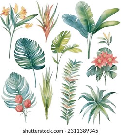 Leafs and plants, watercolour illustration set