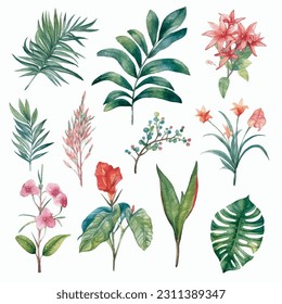 Leafs and plants, watercolour illustration set