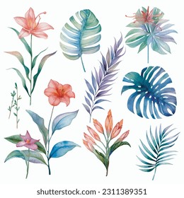 Leafs y plantas, conjunto de ilustraciones acuáticas