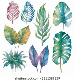 Leafs y plantas, conjunto de ilustraciones acuáticas