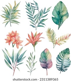 Leafs and plants, watercolour illustration set