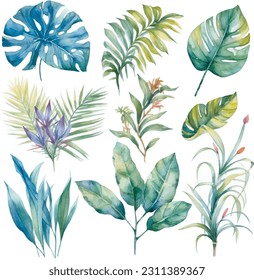 Leafs y plantas, conjunto de ilustraciones acuáticas