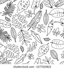 Leafs seamless pattern hand drawn in vector. Tropical and exotic leafs. Line style vector. Monstera, aralia, palm tree, banana palm, petticoat palm, philodendron, papyrus. Paper, wall paper, wrapping 