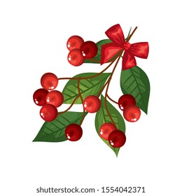 leafs with seeds and bow ribbon decoration christmas vector illustration design