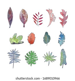 Leafs set hand drawn in vector. Flat style watercolor design. Tropical and exotic leafs. Monstera, aralia, palm tree, banana palm, petticat palm, philodendron, papirus.
