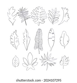 Leafs set hand drawn in vector. Golden line style design. Tropical and exotic leafs. Monstera, aralia, palm tree, banana palm, petticat palm, philodendron, papirus.