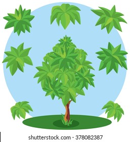 Hojas puestas. Árbol con hojas. Árbol de mango. Verde, árbol, mango, crecer, conjunto. Objetos de juego. Locación para el juego.