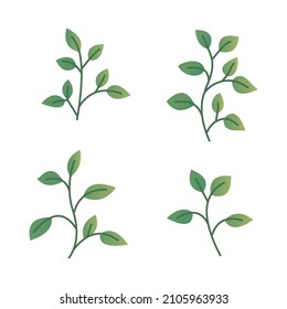 leafs and stalks ornament simple vector design, isolated leafs and stalks with separated layers.