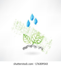 Leafs under the rain