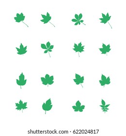 Leafs vector icon