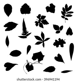 leafs vector set silhouette on white background