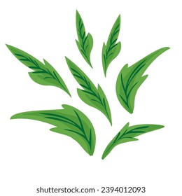 leafs in vector.plant in semi-realistic style.objects for design of application website leaflet booklet advertising packaging sticker.